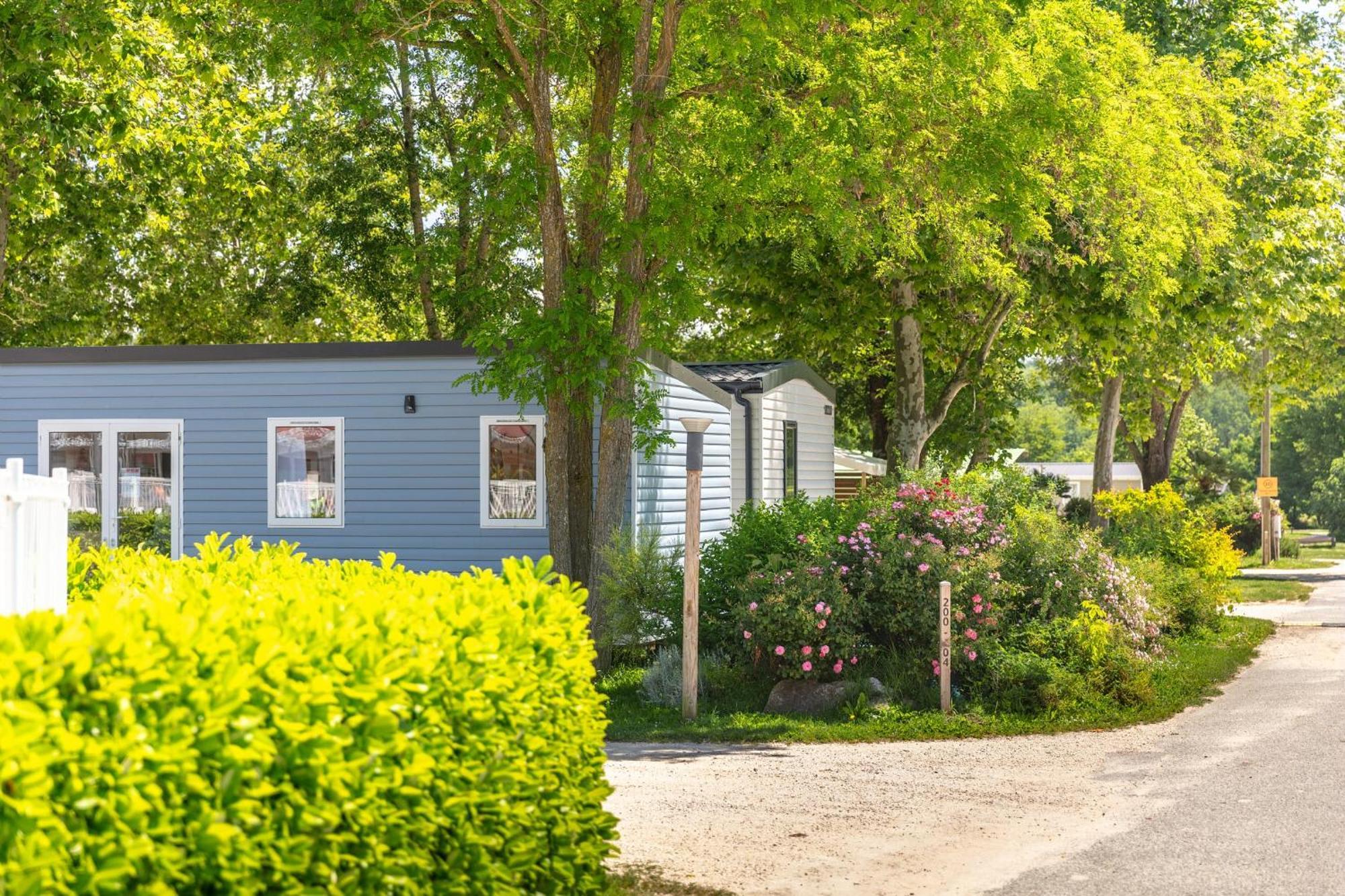 Camping Chateau De Galaure Chateauneuf-de-Galaure Eksteriør bilde